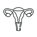 Gynecology